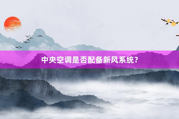 中央空调是否配备新风系统？