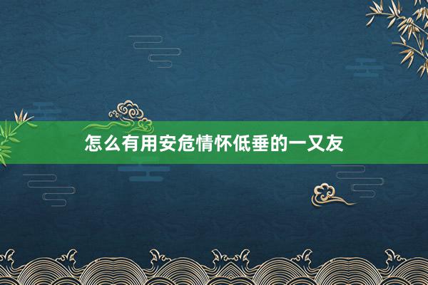 怎么有用安危情怀低垂的一又友